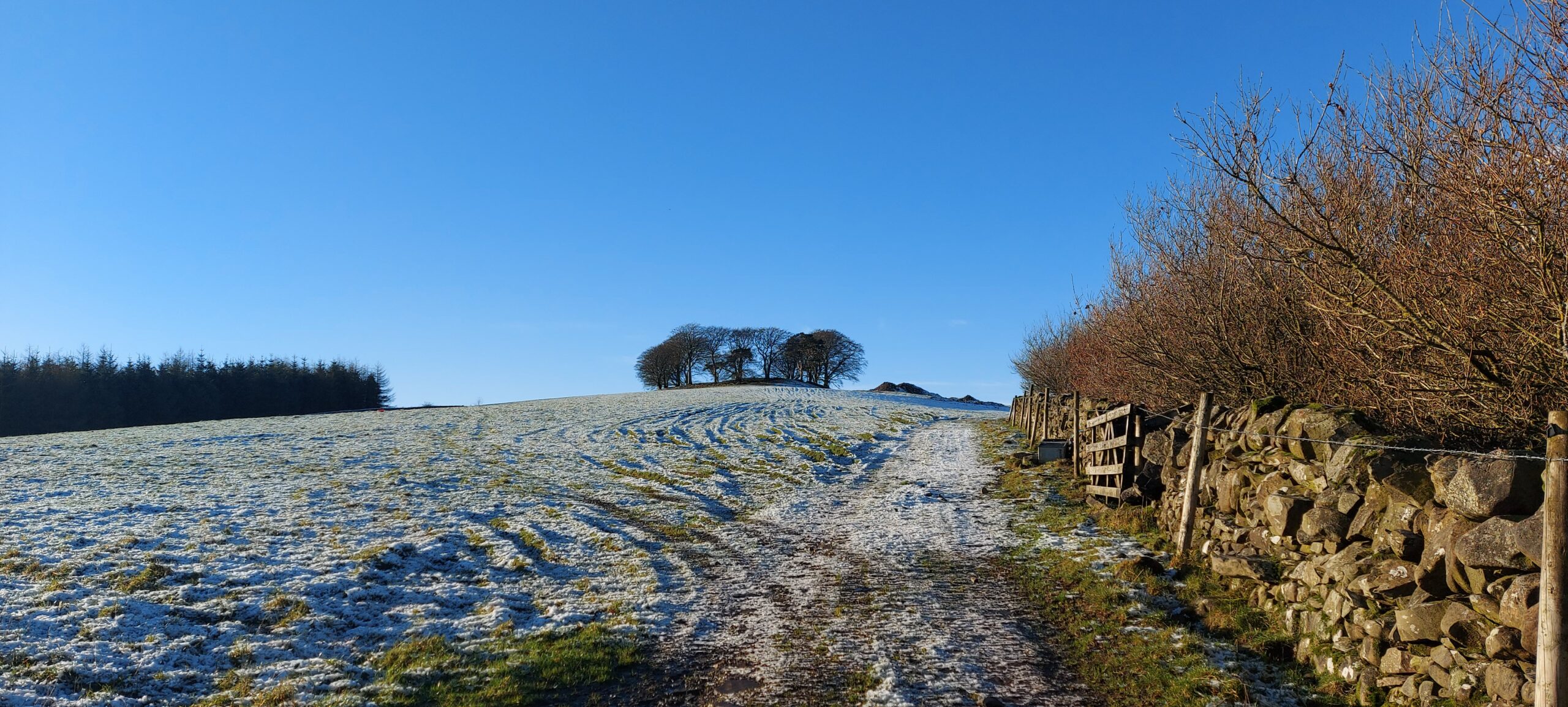 Read more about the article The Fairies of Bruan Broch
